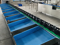 Heetverkopende, zeer efficiënte industriële automatische fruit- en groentesorteermachine voor de markt in Thailand en India