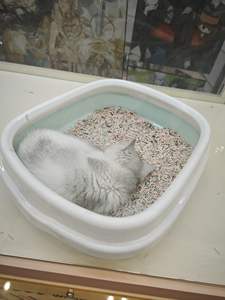 Großhandel Große Indoor-Katzentoilette mit Schublade Leicht zu Reinigende Kunststoffschale für Hunde und Katzen - Product Image 3