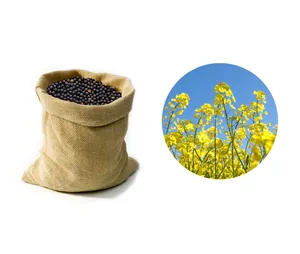 High quality organic colza seeds for leather and textile industries rapeseeds from manufacturer