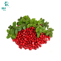 Natuurlijk Cranberry Extract Fruitpoeder Voedingsmiddelkwaliteit Trommelverpakking Gecertificeerd Halal CAS-nummer 84082-34-8