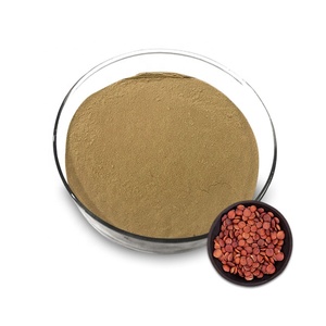 مسحوق مستخلص عشبي من أوراق نخيل السمن (زيزيفي سبينوسا) غني بالسابونين، معبأ في عبوات زجاجية/براميل - Product Image 3