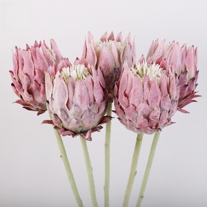 Fleur de Protea Artificielle Réaliste en Tissu Floqué Effet Soie 60CM pour Maison, Hôtel, Mariage, Noël, Fête des Mères, Écologique - Product Image 1