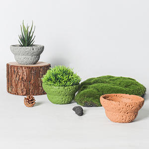 Maceta de Flores de Cera de Coco de Estilo Nórdico Creativo, Hecha a Mano, para Plantas Suculentas, Decoración del Hogar - Product Image 2