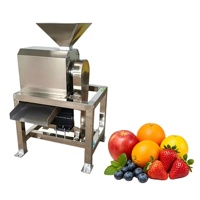 Enkelkanaals roestvrijstalen schil-, ontpit- en pulpermachine voor het maken van fruitsap van aardbeien, tomaten, mango's en jujubes