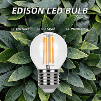 Edison vintage candélabre ampoule LED économe en énergie E27 G45 lampes LED Source de lumière LED pour jardin d'alimentation DC/AC