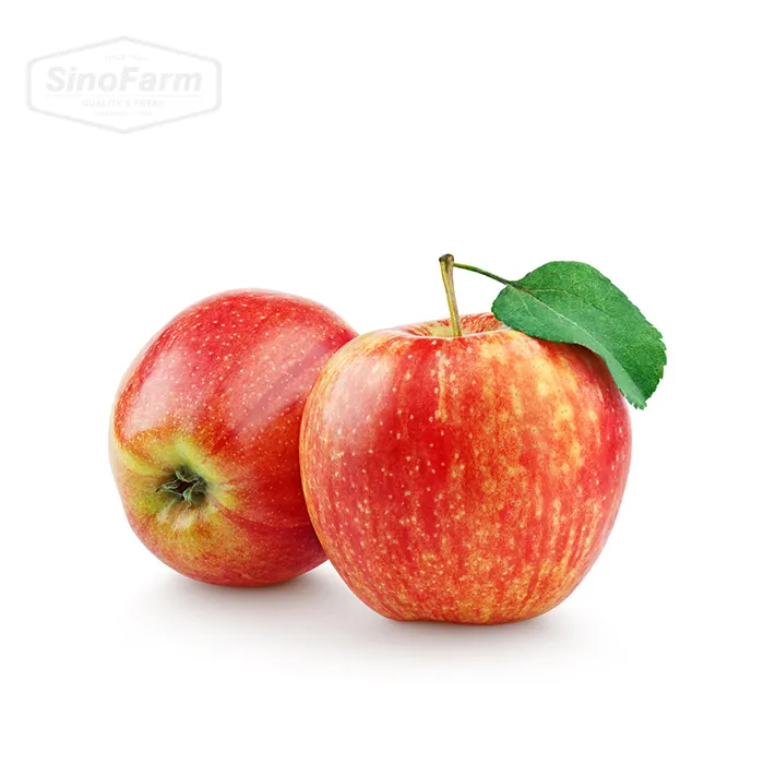 ホットセールブラジル輸出品質新鮮なリンゴ新しい作物ナチュラルレッド富士アップルフルーツ