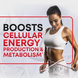 ODM/OEM Private Label OEM/ODM Private Label Food Supplement <b>Coenzyme</b> <b>Q10</b> Bulk Coq10 Powder Softgles CoQ-10 Capsules for Adult - Product Image 3