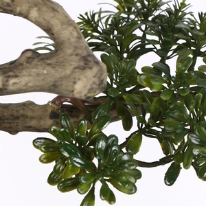 La vida-como <span class=keywords><strong>Aglaia</strong></span> Odorata Lour Milán de Banyan plantas artificiales árbol Bonsai - Product Image 4