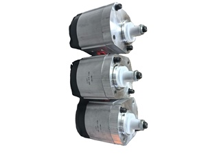 Piezas de maquinaria de construcción 0511315605 AZMF-12-005 motor bidireccional - Product Image 2