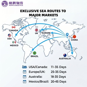 Servicios de Logística LCL Puerta a Puerta DDP Más Económicos, Agente de Envío Marítimo y Aéreo <span class=keywords><strong>Express</strong></span> en China a Europa y EE. UU., Transitario - Product Image 2