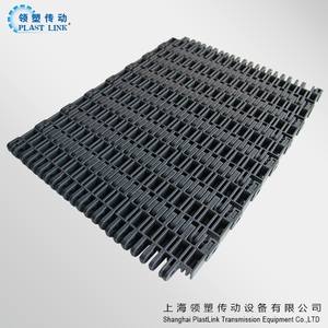 Personalizable <span class=keywords><strong>PL</strong></span> 3110 Raised Rib Modular Belt International Standards Bottle Machine, sistema de filtro, pequeña máquina de pasteurización - Product Image 4