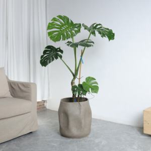 <span class=keywords><strong>Pot</strong></span> <span class=keywords><strong>de</strong></span> fleurs créatif <span class=keywords><strong>de</strong></span> style nordique irrégulier, grand format pour salon, intérieur, pour Alocasia, Black King, Rubber Tree YX110 - Product Image 4