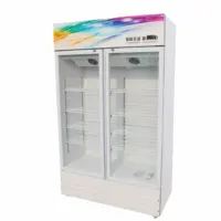 Sutheast aisa mercado balanço de vidro porta bebidas refrigerador comercial geladeira e congeladores