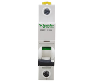 Interruptor automático Schneider Micro iC65N 1P 63A 50A 40A 32A 25A 20A 16A 10A 8A 6A 4A 3A 2A 1A con unidad de disparo tipo C