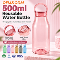 Bouteille d'eau réutilisable en copolyester SK de 500 ml avec boucle de transport, logo personnalisé pour cadeaux d'entreprise, OEM ODM