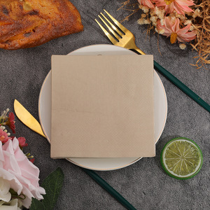 Morandi Color Solid Paper Napkins 250mm Double Layer Thickened Wedding Party Use - Product Image 3
