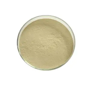 Amylase Enzyme Price Food Grade Powder Maltogenic Amylase Enzyme Anti-aging For Baking Additive