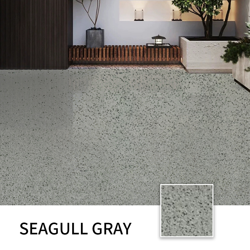 นกนางนวลสีเทา