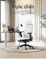 Chaise de bureau ergonomique moderne en promotion avec support lombaire, coussin en mousse haute densité, chaise d'ordinateur en tissu maillé pour les États-Unis et le Canada