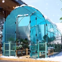 Serre miniature en polytunnel pour jardin, couverture en film plastique PE anti-UV pour l'extérieur, saison hivernale, faible coût