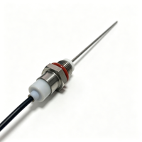 Capteur de niveau à sonde personnalisable en acier inoxydable 316, 3-5,5 V NPN PNP, adapté à diverses profondeurs de réservoirs pour projets d'équipements sur mesure