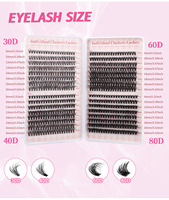 Misspretty DIY Cluster Lashes Plateaux Segment pré-découpé Private Label Promade Fans Appuyez sur les cils Livres Lash Extension Kit