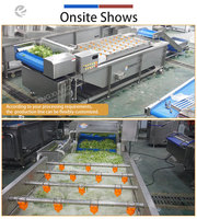 FENGXIANG Groenteverwerkingslijn 2000kg/u IJsbergsla Babygroenten Reinigings-, snij-, droog- en verpakkingsmachine Aangepaste lijn