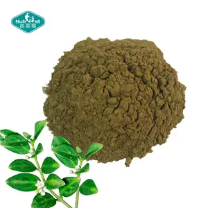 Produsen Ekstrak Herbal 25% Asam Gymnemic 75% Gymnema Sylvestre Ekstrak Daun Bubuk Bahan Baku Curah