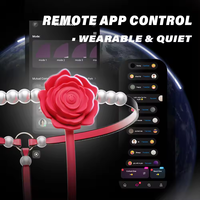 Vibrateur portable pour femmes, jouet sexuel pour adultes, mini-vibrateur à commande par application, jouet sexuel pour culotte
