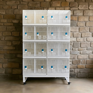 Vente en gros de cages à oiseaux en métal de style nouveau pour canaris, pinsons dorés, moineaux gris et grands oiseaux jaunes hibiscus - Product Image 6