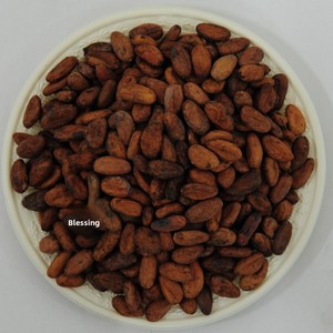 Fèves de <span class=keywords><strong>cacao</strong></span> torréfiées du Jiangsu de qualité supérieure, <span class=keywords><strong>100</strong></span> % <span class=keywords><strong>cacao</strong></span>, stockage à température ambiante, 396 g par boîte, fourni par l'usine de Wuxi - Product Image 4