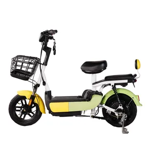 남성용 배터리 자전거로 뜨거운 판매 변환 키트 다른 색상의 저렴한 미니 접이식 전기 자전거 CKD