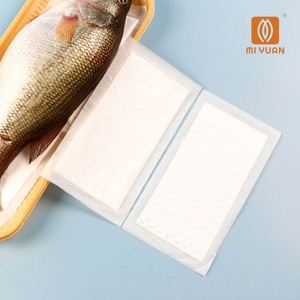 Tampons absorbants haute capacité 160x100mm pour viande, fruits de mer, poisson, volaille, emballage écologique, produit respectueux de l'environnement - Product Image 1