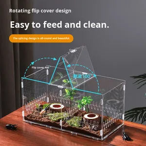 Terrario in Acrilico Altamente Trasparente per Allevamento di Rettili, Scatola Espositiva per Ragni, Lucertole, Gechi, Piccolo Habitat Ecologico per Mangiatoie di Rettili - Product Image 4