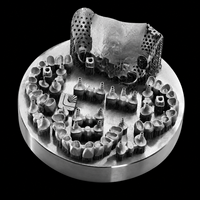 Implante de Titanio Personalizado, Servicio Dental de Impresión 3D en Metal SLM, Alta Precisión de 0.05 mm, Producción en Pequeños Lotes