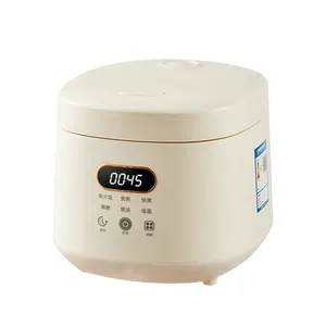 2024 último 2L Mini Ricecooker para 3-4 personas antiadherente inteligente pequeño multifuncional Ricecooker fabricante de fábrica