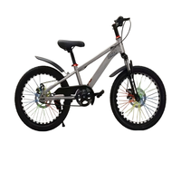 Vélos pour enfants en gros de 18/20/22 pouces avec cadres en acier robustes ; hauteur réglable, adaptés aux enfants de 6 à 16 ans. Frein à disque.