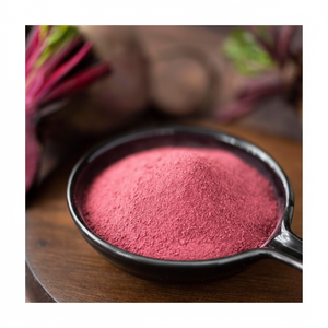 Herbojit International Poudre de Betterave Séchée Naturelle Stimulant d'Oxyde Nitrique pour l'Endurance Pré-Entraînement Exportation et Vente en Gros - Product Image 1