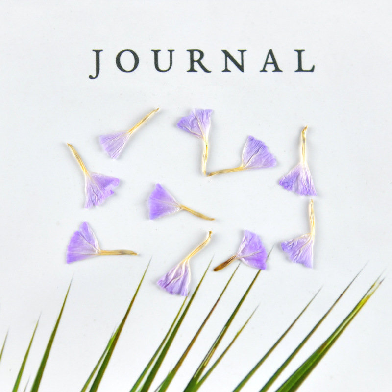 MH488 lilla naturale 20 pz/borsa