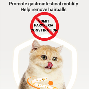 Petdom Hot Bán Chất Lượng Cao Pet Mèo Đồ Chơi Cá Hình Catnip Bóng Đồ Chơi Catnip Tường Bóng Mèo Đồ Chơi Tương Tác - Product Image 6