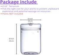 Pot de terrarium en verre de 6x9 pouces, plante d'intérieur avec couvercle pour succulentes, cactus, fougères, mousse de fée - Design transparent élégant
