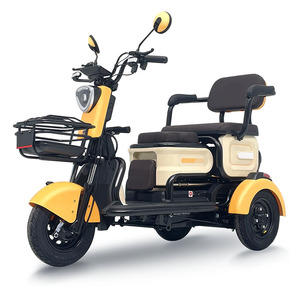 Electric Tricycle <strong>Foldable</strong> Open Body Passenger <strong>Trike</strong> with 200-300kg Payload Capacity 1 Passenger 30km Range 30Km/h Max Speed - Product Image 1