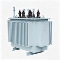 Transformador de Potencia de 1000 kVA Lleno de Aceite, Montado en Poste o Base, Tipo Aceite, con Núcleo de Aleación Amorfa, Ahorro de Energía
