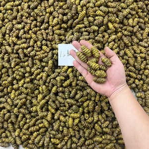 Sỉ nhà máy thảo dược truyền thống Trung Quốc nguyên chất mới, chiết xuất thành phần Dendrobium Dendrobium Officinale - Product Image 5