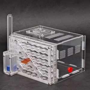 Ant Kingdom Palace Villa Castle Rectangular Eco Box Ant Village Pet Ant Tribe Home Acrylic Nest Ant Warehouse - Product Image 1