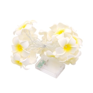 Luces LED de Girasol <span class=keywords><strong>RYM</strong></span>, Blanco Cálido, 80 CRI, Material de PVC, IP65, Impermeables, Decoración Navideña para Interiores y Exteriores, Funciona con Batería, 10-40 Piezas - Product Image 5