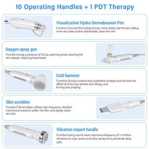 Machine de nettoyage du visage professionnelle pour salon de beauté 11 en 1 avec hydradermabrasion et technologie à l'oxygène - Product Image 3