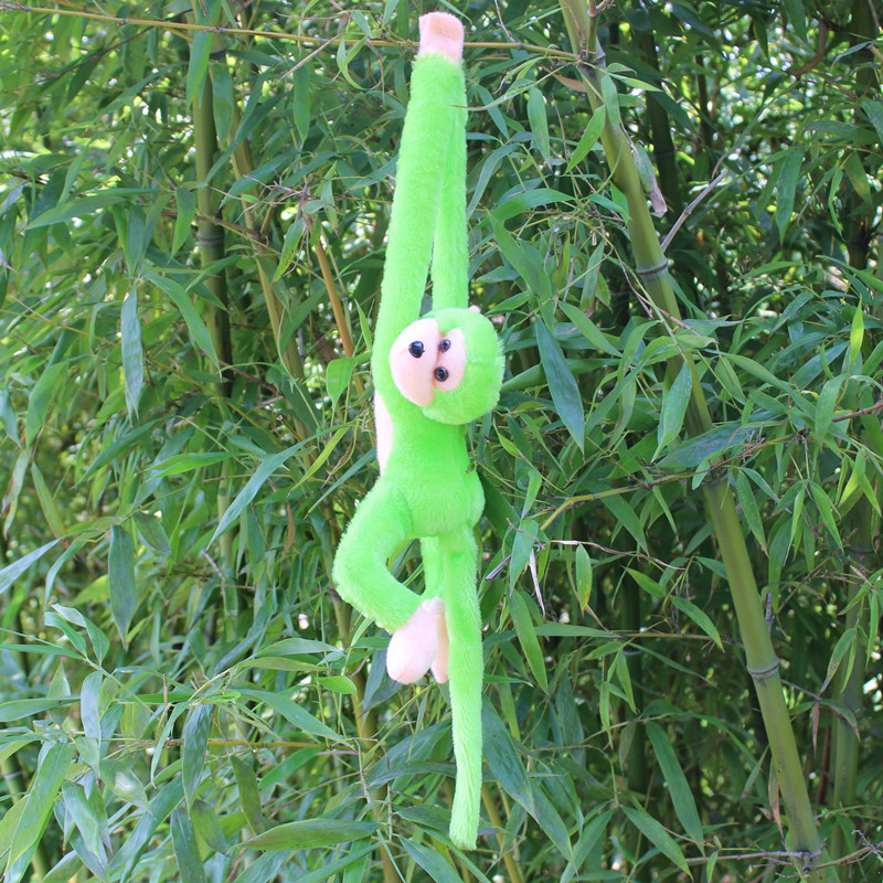 Vert