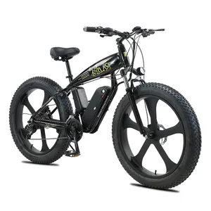 AKEZ SHARPS 1000W Aluminum alloy snow frame Snow Electric bike 48v1000w Range to 50km LED high intensity headlamp E-bike