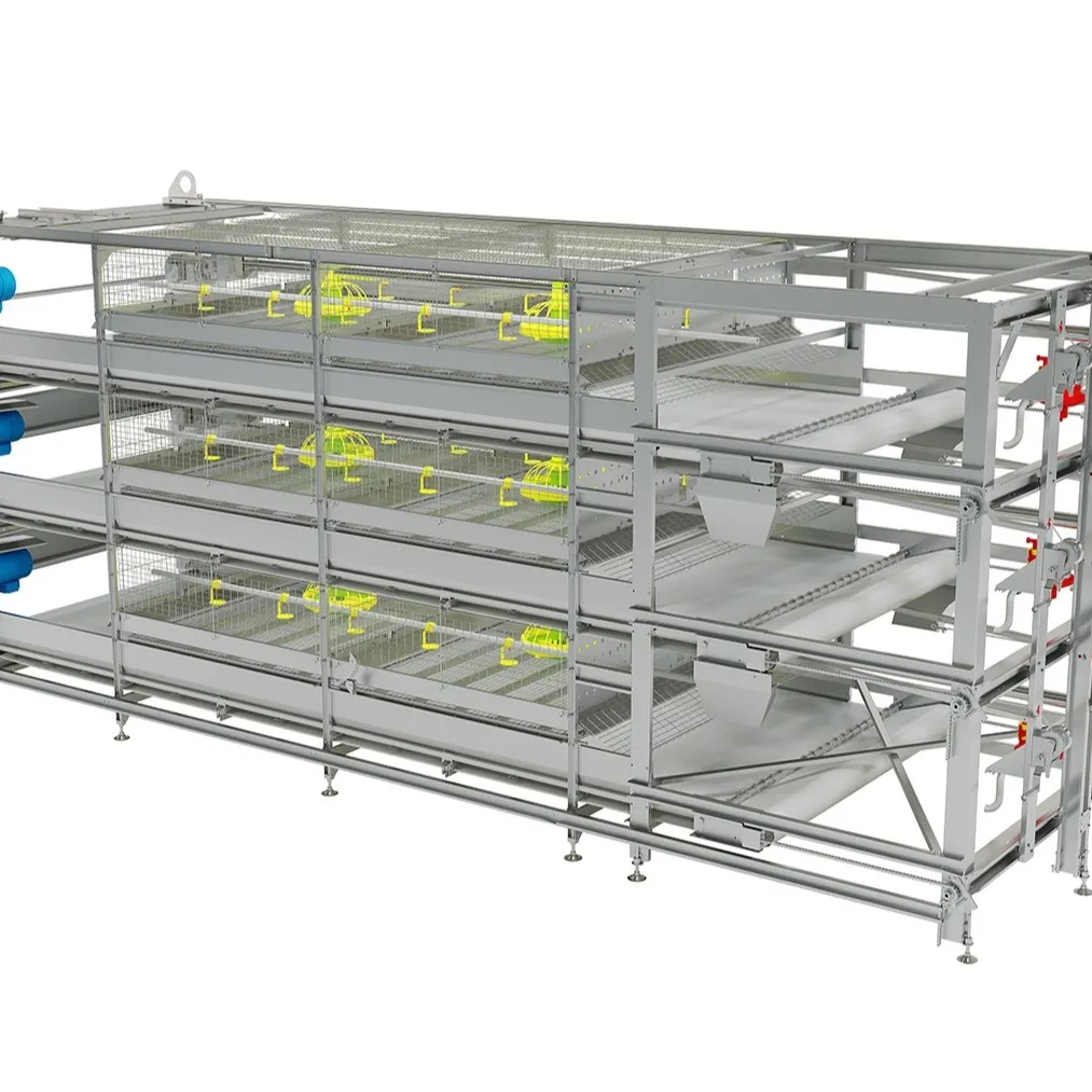 Pluimvee Helper Kenya Pluimvee Boerderij Kippenhok Verticale H Type 4 Lagen Gaas Dieren Vleeskuikens Kippenkooien Met Mestgordel